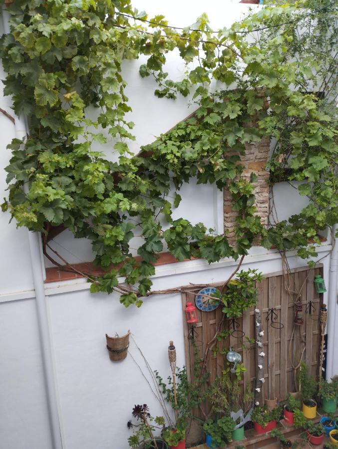 Apartamento Eg17 Arcos de la Frontera Extérieur photo